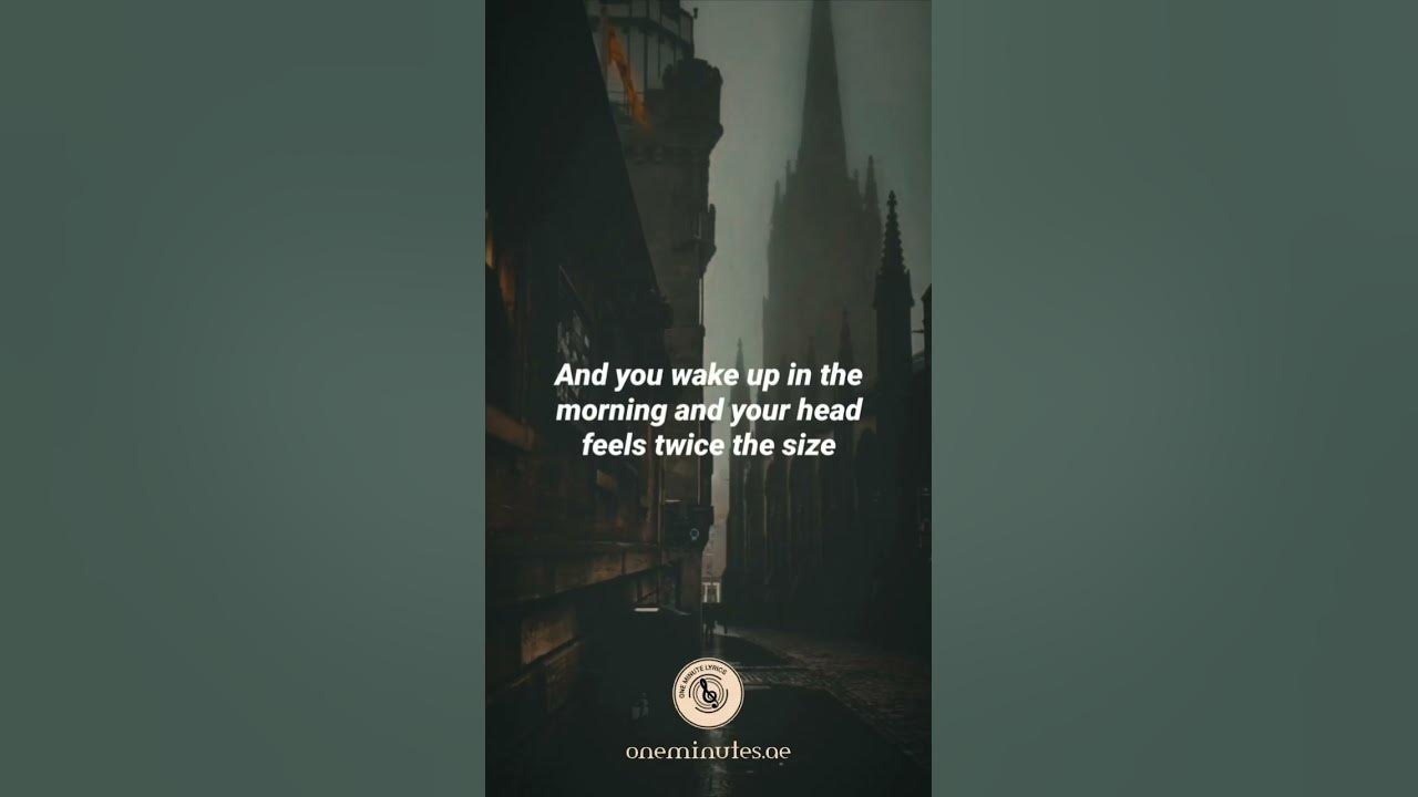 This Is the Life | Amy Macdonald | Lyrics