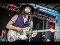 The Ghost of a Saber Tooth Tiger - Animals - Mountain Jam 2014