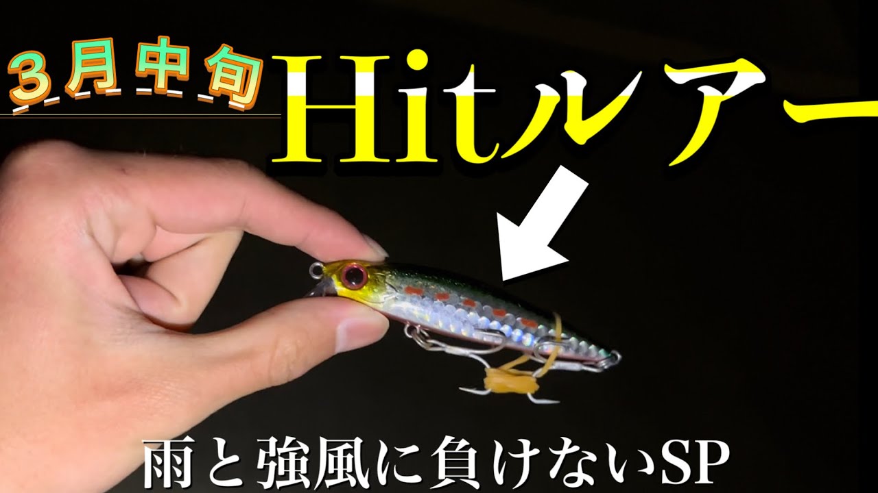 シーバス 3月中旬ナイトゲーム行ったら久しぶりにhitした Youtube