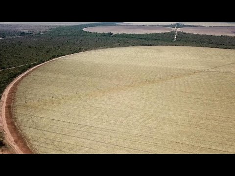 Vidéo: Brésil : industrie et agriculture