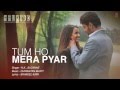 Tum ho mera pyar haunted full song lyrical  kk suzanne dmello