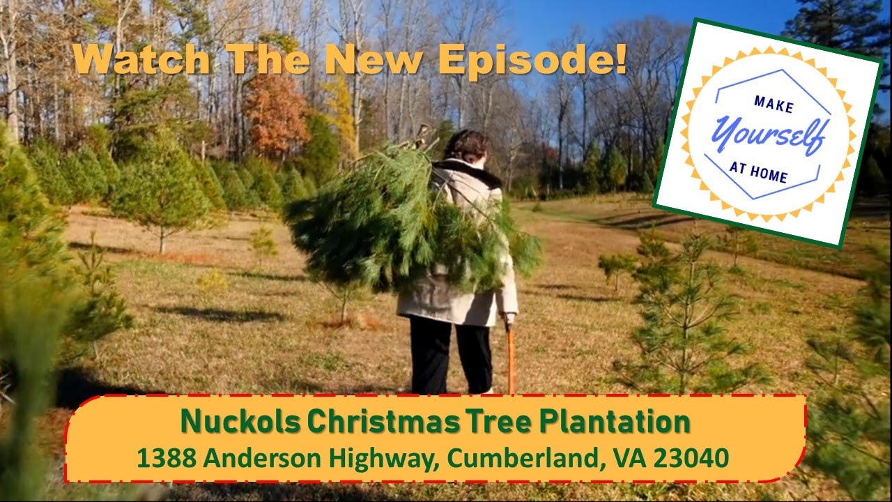 30 Make Yourself At Home Nuckols Christmas Tree Plantation YouTube