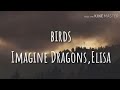 imagine Dragons birds lyrics | Extreme Riders