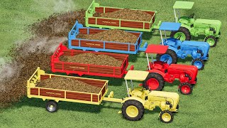 WORK OF COLORS ! Junior Porsche Tractors On Manure Work ! Farming Simulator