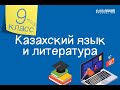 Казахский язык и литература. 9 класс. Дала заңы /18.11.2020/