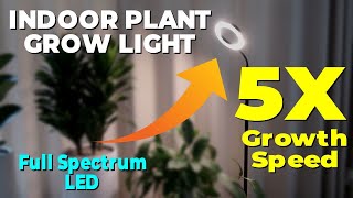 Halo Ring Light - Indoor Plant Grow Light 5X Speed! Misty Jungle