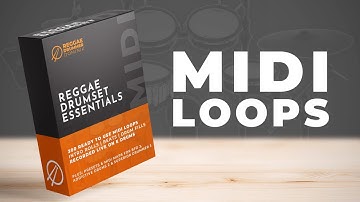 BEST REGGAE MIDI DRUM LOOPS | 300 Intro Rolls, Beats & Drum Fills for Producers