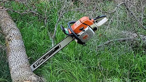 Stihl 038 magnum. Clutch repair/first time in the wood.... FAIL!!!