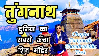 तुंगनाथ महादेव - दुनिया का सबसे ऊँचाई पर स्थित शिव मंदिर | Chopta Tungnath Chandrashila Trek Vlog