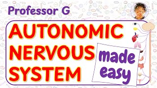Th Autonomic Nervous System Explained Receptors Pathways U0026 Drug Targets Made Easy