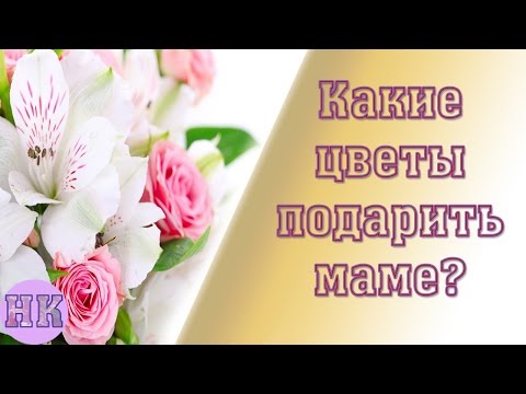 Лучшие цветы в подарок для сестры