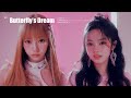 02. Butterfly's Dream (Official Audio)