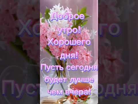 ДОБРОЕ УТРО🌷ХОРОШЕГО ДНЯ #short #shorts #shortvideo #shortsvideo #открыткисдобрымутром