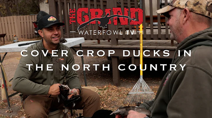 Cover Crop Ducks In The North Country | The Grind ...