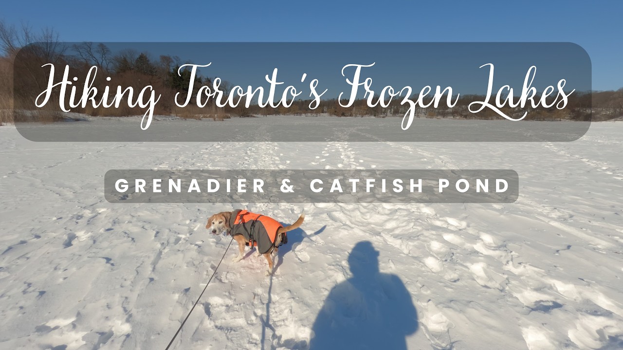 Walking on Water: Crossing Toronto’s Frozen High Park Ponds