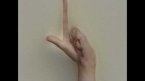 Prueba de entrenamiento de red neuronal - Google colab Inception V3