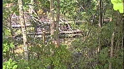1st Whatley Lake House 1995