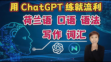 (Eng Subs) 荷兰 | 就这样跟AI免费学荷兰语 | How to use ChatGPT for Learning and Practicing Dutch