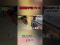 【ガチ心霊映像】※閲覧注意『動くダルマ』#shorts