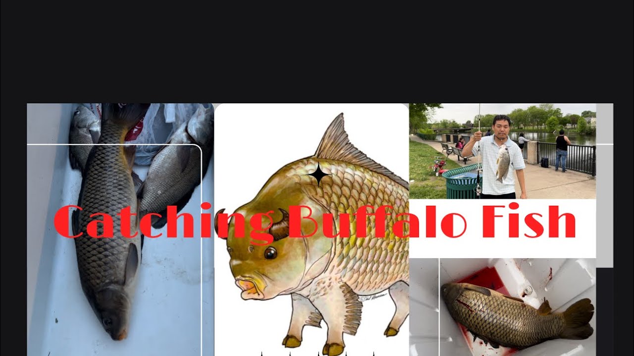 FISHING AT NORTHFIELD MINNESOTA || FISHING VLOG || BENAIAH VLOG