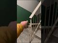 C’È IL MOSTRO DI 99 NOTTI CHE MI FA IL SOLLETICO SULLE SCALE!! #shorts #fortnite #roblox #short