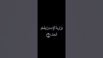 #قرآن #سورة_القيامة #كرومات_سوداء #راحة_نفسية