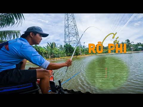 Video NGẮM PHAO ĐÀI | ĐÀI SƯ DÕM HUỲNH KHOA CÂU CÁ RÔ PHI HỒ... - youtube