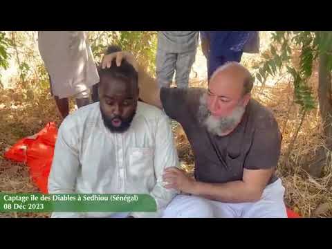 Jin catching (repost): Devil's Island by Sheikh Ben Halima Abderraouf.  DECEMBER 2023