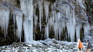 氷柱が見頃　高さ８メートル　氷のカーテン　埼玉県秩父市