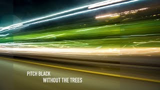 Pitch Black - Without The Trees