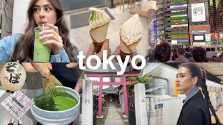 diários do japão: tóquio, comidas e a busca pela nossa família japonesa perdida