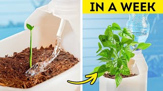 Gardening Hacks: 101 Genius Ideas For Plant Lovers ☘️