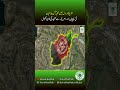 Afghanistan, India and Russia’s New Game | Taliban Identity Sparks Clash with America