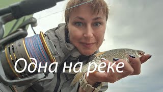 :   .   Slam N 6000 Ryobi