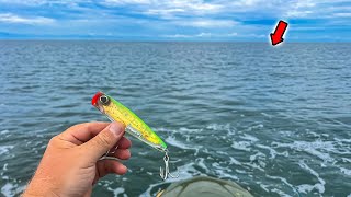 I Threw THIS Popper from My JET SKI and INSTANTLY Hooked Up!! MOST BIZARRE CATCH AND COOK EVER