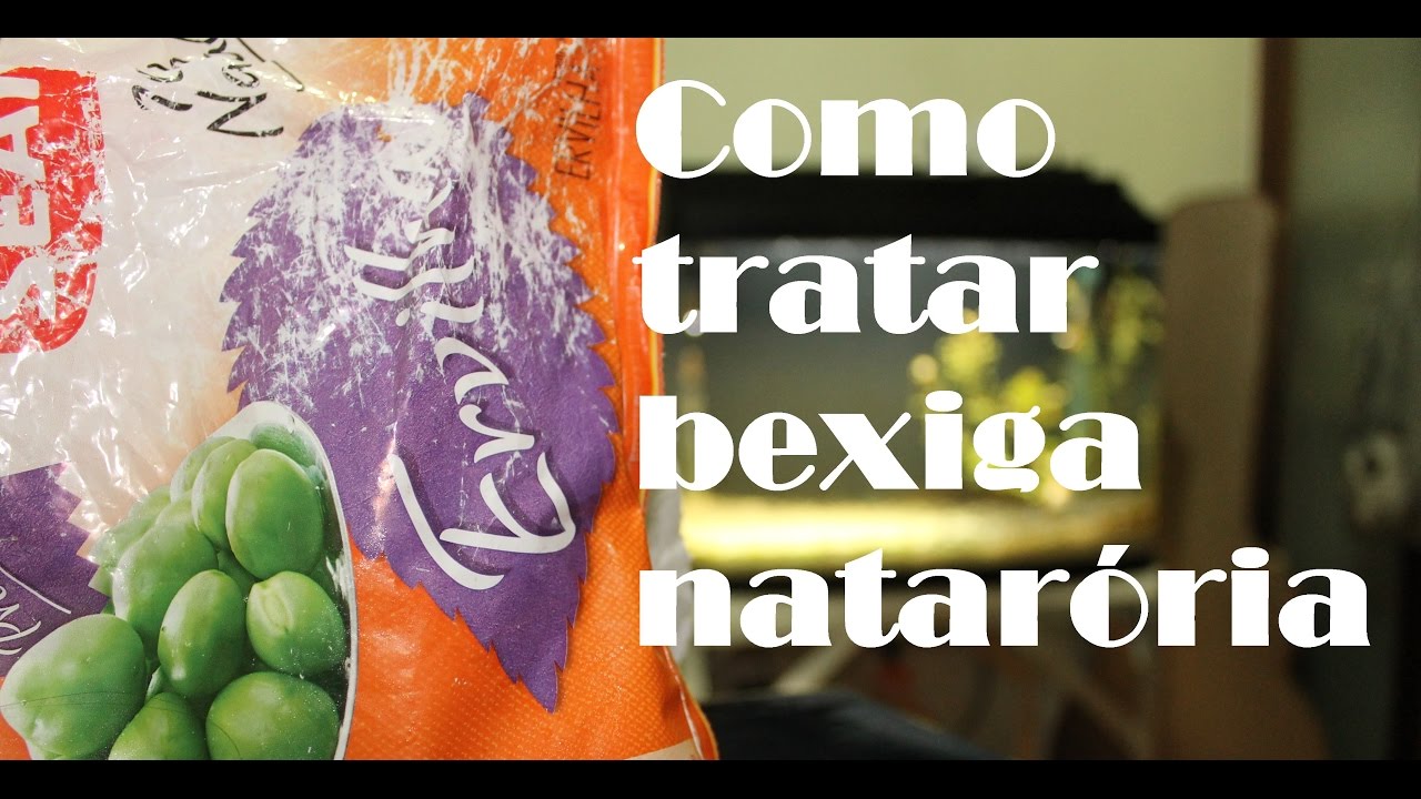 Como tratar a doença da bexiga natatória (apenas gases) YouTube