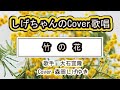 「竹の花」しげちゃんのCover歌唱 / 歌手 男石宜隆・Cover 森岡しげゆき