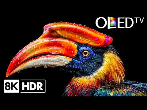 Amazing 16K OLED HDR Ultimate Detail | Dolby Vision 120FPS 8K Video (4K Ultra HD TV)