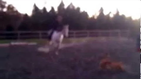 Still trying to get the hang of it