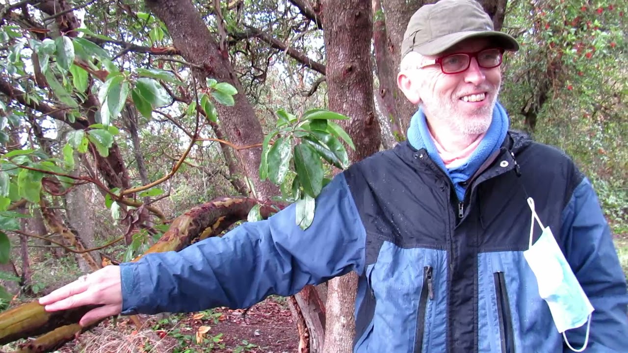 SNAKE LAKE / A Washington Secret Place & place to hike / Every day is holy in nature / Music video