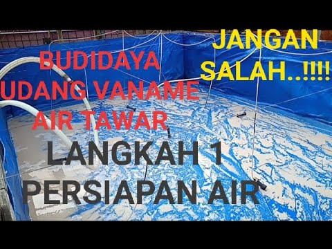 Persiapan Kolam Terpal Udang Vaname