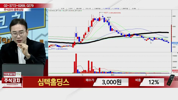 심텍홀딩스(036710)_김현구 전문가_종목 상담 (20240224)
