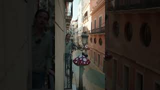 Welkom In De Paddenstoelen Straat Waarom Heet Hij Zo? Kijk Maar Eens Om Je Heen