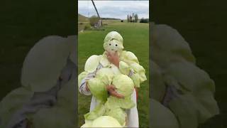 🥬 3 необычных блюда из капусты - и даже кочерыжка не пропадёт!Сохраняйте 👇
