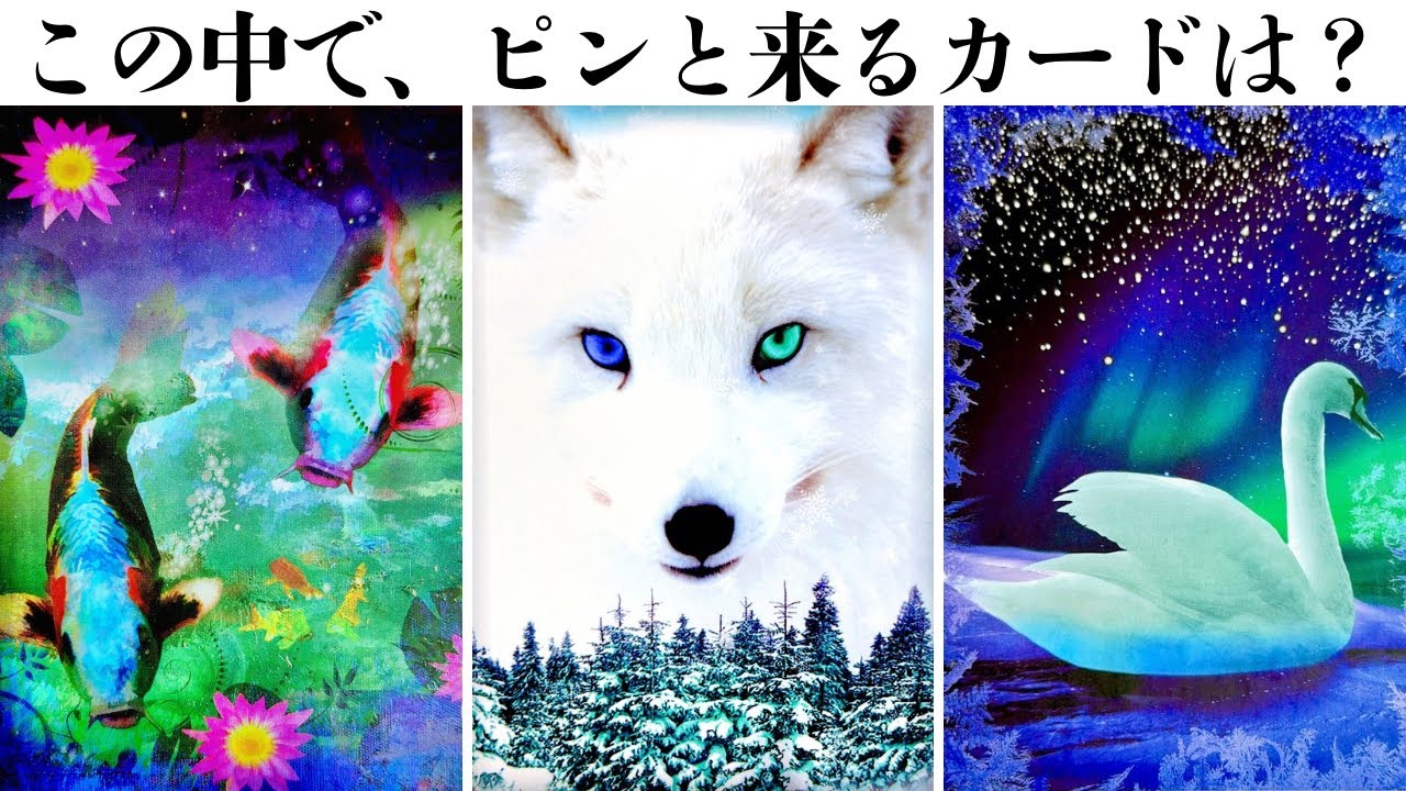 【タロット】あの人が我慢してること。あなた様に言えないこと。