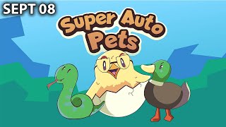 Wake up honey, it's update day (Super Auto Pets)