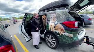 Dogs bring comfort to Buffalo after shooting