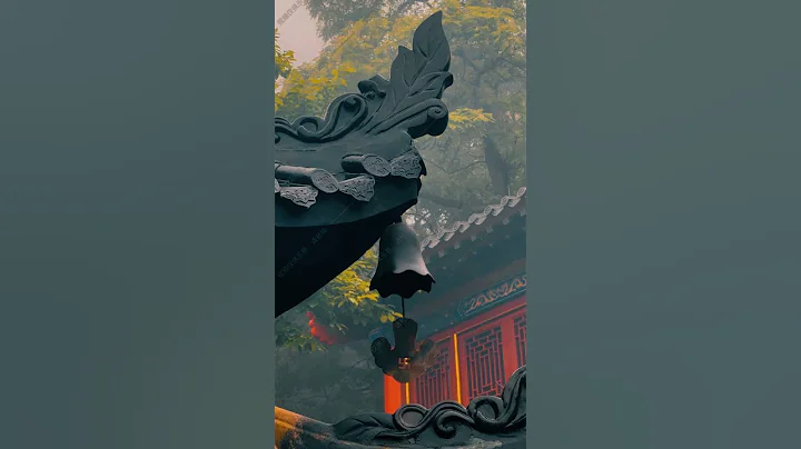 從生肖看你幸運數字【佛語】#命運#命理#算命 - 天天要聞