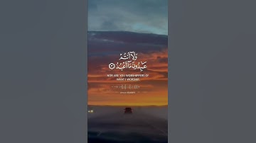 سورة الكافرون للقارئ أنور الجبرتي