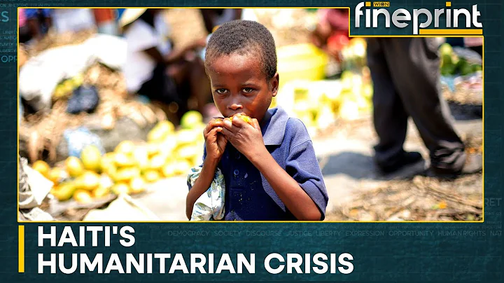 Unable to feed 100,000 Haitians this month: United Nations | WION Fineprint